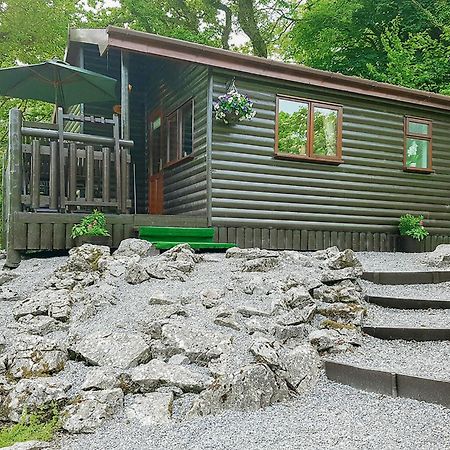 Garnffrwd Park Otel Llanddarog Dış mekan fotoğraf