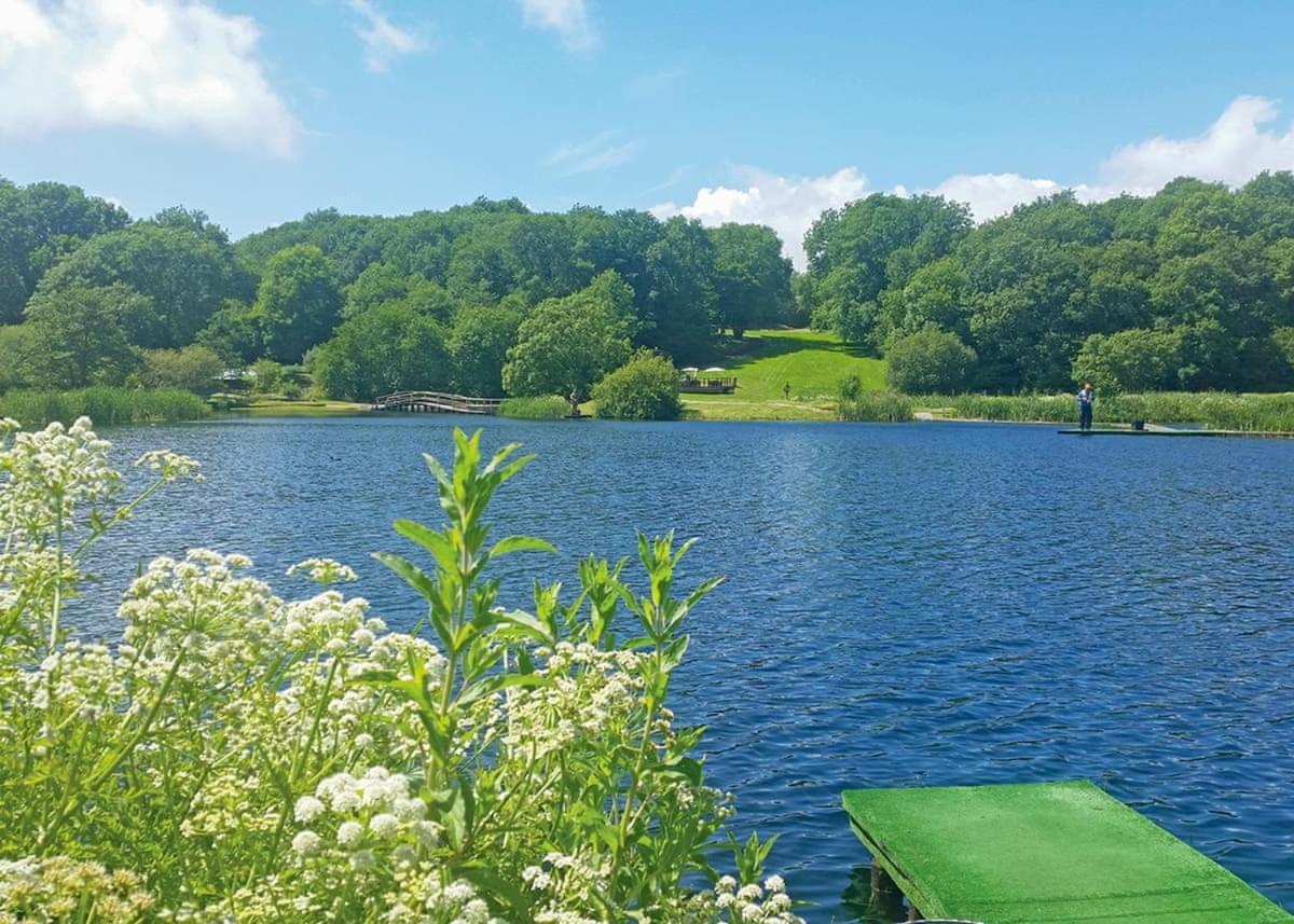 Garnffrwd Park Otel Llanddarog Dış mekan fotoğraf